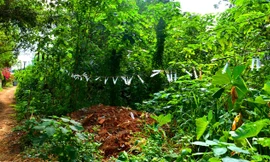 Kim tiêm giăng đầy hẻm 43 Ama Khê - Đinh Núp. Ảnh: Thiên Thảo