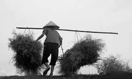 Ngành giáo dục Nghệ An sẽ phát động cuộc thi viết về mẹ