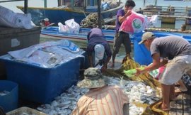 Cá chết trắng lồng bè ở xã Long Sơn