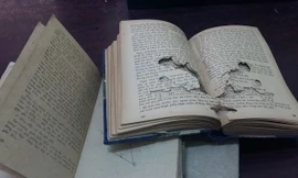 Đốt sách, xây… chùa