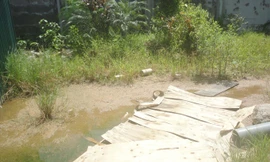 Nỗi lo dịch bệnh từ khu đất để không