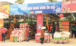 Một điểm bán hàng “Bình ổn giá” vào cuối năm của Hapro mang lại nhiều tiện ích cho người tiêu dùng.