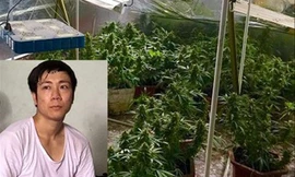 Đỗ Xuân Hiếu (29 tuổi), trú tại phường Hùng Vương, quận Hồng Bàng, TP Hải Phòng vừa bị công an bắt giữ vì truyền đạo trái phép và trồng cần sa.