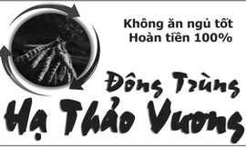 Mệt mỏi và Đông trùng Hạ thảo vương để ngủ tốt, ăn tốt