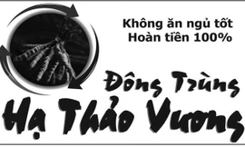 Mệt mỏi, mất ngủ, chán ăn và cam kết… là tiên?