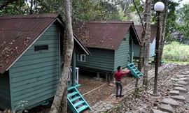 Bungalow giữa rừng đặc dụng Hòn Bà.
