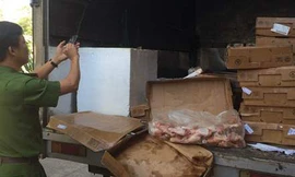 Cơ quan chức năng tiêu hủy số thịt gà thối.