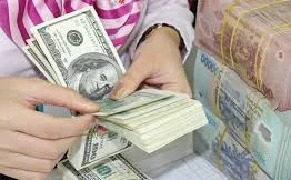 Tỷ giá VND/USD sẽ tăng mạnh do cầu ngoại tệ tăng?