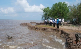 Sạt lở nghiêm trọng ven biển Cà Mau