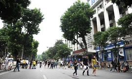 Lao xao 'danh vọng'