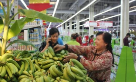 Rau dớn, ớt xiêm rừng Sơn Hà được bày bán ở siêu thị Big C Đà Nẵng.