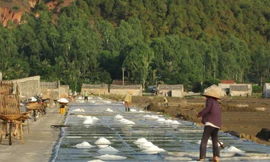 Diêm dân đang ngày càng ít mặn mà với nghề làm muối truyền thống.