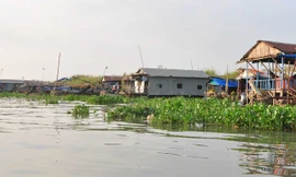 Xóm "Việt kiều" ở chợ nổi Long Xuyên.