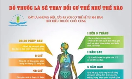 Những thay đổi kỳ diệu của cơ thể sau bỏ thuốc lá
