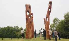 Một góc “Rừng ánh sáng” của nghệ sỹ Nhật Bản lung linh hơn về đêm nhờ hệ thống chiếu sáng. Ảnh: Toan Toan