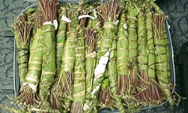 Lá khat được cuốn trong lá chuối giấu vào va ly để nhập lậu vào Mỹ. Ảnh: Dea