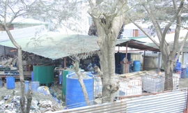 Trong cơ sở chiết nạp gas May cao su Vĩnh Lộc.