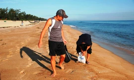 Dân địa phương chỉ cần đi dọc bờ biển là bắt được một lượng lớn hải sâm