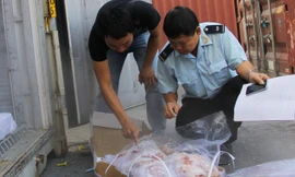 Cán bộ Hải quan Hải Phòng kiểm tra một lô hàng thịt đông lạnh.