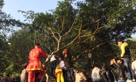 Bỏ cướp lộc ở Hội Gióng là văn minh