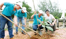 Hoa Hậu Việt Nam - Ngọc Hân đồng hành cùng ABBank ra đảo Lý Sơn trồng cây xanh bảo vệ môi trường.