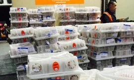 Những lô hàng vải thiều của Việt Nam đã có mặt tại Australia. Ảnh: moit.gov.vn