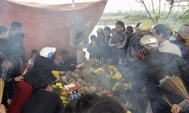 Hương khói nghi ngút đêm ngày trên ngôi mộ có hai con rắn.