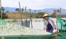 Người dân phơi cá