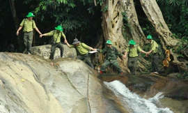 Phải rất vất vả để đặt được chân lên đỉnh Tà Đùng.