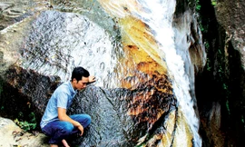 Phần “mõm” trâu đá.