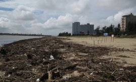 'Bãi biển đẹp nhất Việt Nam' ngập rác