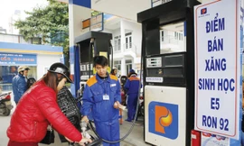 Dù xăng E5 đã thay toàn bộ xăng A92, nhưng giá xăng A95 lại bị thả nổi gây thiệt hại cho người tiêu dùng. Ảnh: Như Ý.