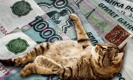 Mèo nhận lương 400 nghìn rúp/năm