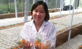 Chị Nguyễn Thị Hồng, người bỏ ra gần 10 năm nghiên cứu và trở thành người đầu tiên tại Việt Nam nuôi trồng thành công đông trùng hạ thảo cordyceps militaris