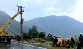 Ngày 10/10, Công ty Điện lực Ninh Thuận khắc phục sự cố ngã đổ đường dây 22 kV, thuộc địa phận xã Phước Bình, huyện miền núi Bác Ái.
