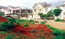 Dự án khu phố mới Hoa Lư - Phù Đổng.