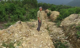 Đất ông Túy bị xã đào hào phân chia.