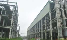 Bắt cựu Tổng giám đốc nhiên liệu sinh học dầu khí PVB