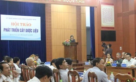 Toàn cảnh hội thảo