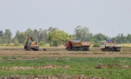 Mặt ruộng đang bị “xẻ thịt”. Ảnh: Tuấn Anh