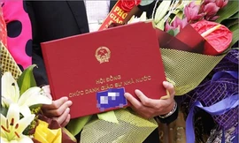 Xử lý 31 cơ sở xác nhận hồ sơ không chuẩn xác