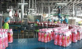 Sản phẩm trà thảo mộc Dr Thanh của Tân Hiệp Phát