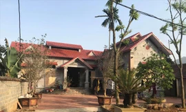 Nhà người nhận là chủ nhân của 3 cây đa “khủng”.