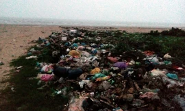 Bãi biển - bãi rác
