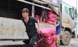 Cật lực làm việc, mỗi ngày giáp Tết phu bốc xếp hàng hóa kiếm được từ 200 - 500 ngàn đồng. Ảnh: Thanh Trần