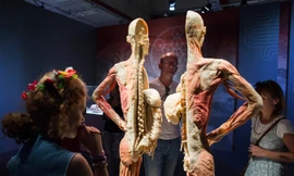 Triển lãm xác người: Hữu ích hay ghê rợn?