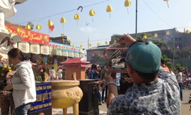 Nhiều khách đến viếng chùa phóng sinh chim