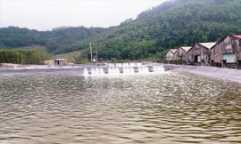 Ủy ban Kiểm tra Tỉnh ủy TT-Huế và Huyện ủy Phú Lộc quyết liệt xử lý cán bộ để xảy ra sai phạm phá rừng nuôi tôm trái phép.