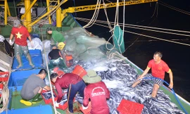 Tàu vỏ thép hiện đại thu hút được các ngư dân trẻ.