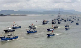 Nguy cơ mất trắng nguồn cá ở biển Đông